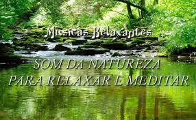 Musica relaxante / música relaxante: Musicas Relaxantes Natureza Passaros