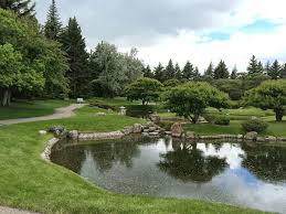 Obituary for Kaye Hage