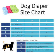 3pcs Washable Dog Diaper Female Pet Pant Reusable Puppy Doggie Diapers S M L Xl