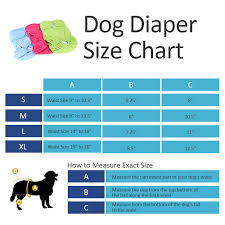 3pcs washable dog diaper female pet pant reusable puppy doggie diapers s m l xl