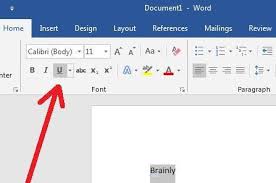 Jika Kamu Akan Memberi Garis Bawah Pada Tulisan Ikon Apakah Yang Diaktifkan Jelaskan Cara Cara Brainly Co Id