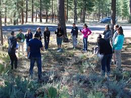 District Pathway: Implement Your Program — National COVID-19 Outdoor  Learning Initiative — Green Schoolyards America