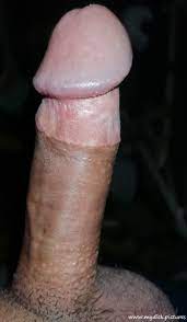 My Dick Pictures