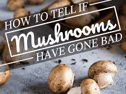 Mushrooms get slimy when they expire. How To Tell When Mushrooms Go Bad Delishably