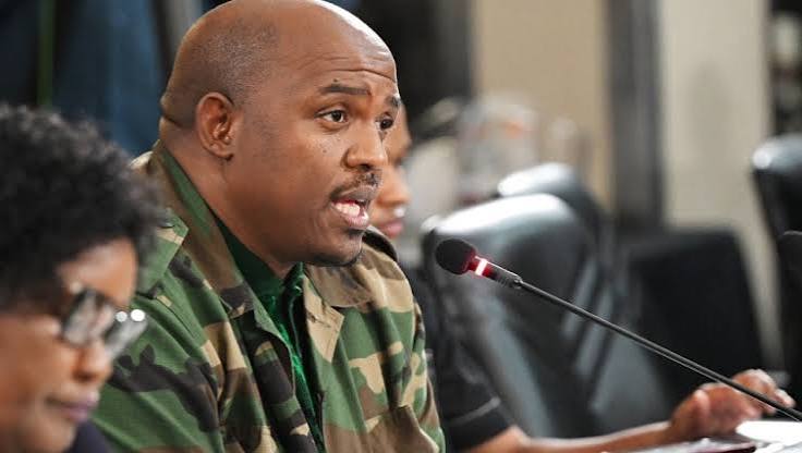 Parliament Ad Hoc Committee | Vusimuzi "Cat" Matlala's testimony at the Kgosi Mampuru prison