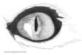 Draw two circles by tracing a roll of tape. Drawing Realistic Cat Eyes Onlypencil Drawing Tutorials
