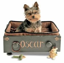 Hundebett mit bildern, grafiken, texten und logos designen. Hundebett Designs Was Finden Hunde Gemutlich