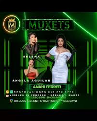 Anahi Garza (@anahiferrer_show) • Instagram-bilder og -videoer