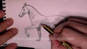 Dessin au crayon de cheval au trot - Comment Dessiner - YouTube