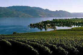 The westside wine trail is home to some of the oldest and most well established vineyards and wineries in the okanagan valley. West Kelowna Weintour Klassisch 4 Weinguter 2021 Kelowna Und Okanagan Valley Tiefpreisgarantie