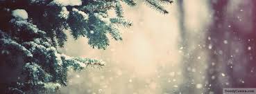Cute Winter Quotes Fb Quotesgram See more ideas about facebook cover photos, cover photos, facebook cover. cute winter quotes fb quotesgram