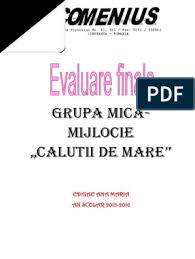 Fise evaluare sumativa grupa mijlocie, evaluare initiala grupa mijlocie cu itemi, fise de evaluare finala grupa mica. Evaluare Finala Grupa Mijlocie 2016