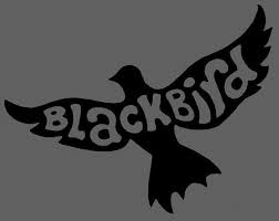 Black Bird In The Dead Of Night The Beatles Tshirt Blackbird Singing In The Dead Of Night Screenprint Charcoal Mens Tshirt Black Bird Black Bird Tattoo Black Bird Fly