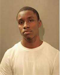 ᐅ Illinois Criminal Records 2009-2026