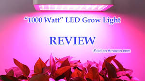1000 Watt Led Grow Light By Colofocus Review Youtube