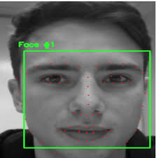 Sample of detected face.