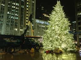 Twitter Festival Lights Tree Lighting Holiday Decor