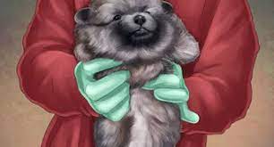 3 Ways To Know When A Dog Is Done Giving Birth Wikihow