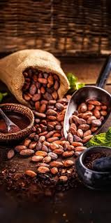 Cacao Seeds On Their Way To Chocolate Greatcoffee Costa Rica Is A Treasure Trove Of Coffee Bean And Ca Coffee Beans Photography Chocolate Coffee Fresh Coffee