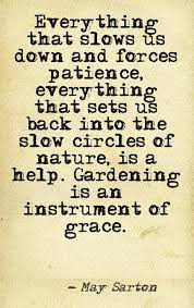 We plant and nurture the seeds of our dreams, and in the proper. Thoughts To Ponder In The Garden Garden Quotes Quotes Words