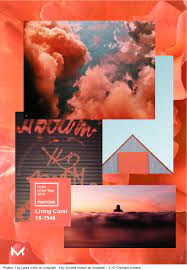The Pantone Fashion Color Living Coral 2019 Represents Modern Life And Is Often Represented In Social Media Living Coral Color Of The Year Live Coral Pool Art
