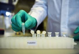 Zydus cadila, a leading indian pharmaceutical company is a fully integrated, global healthcare mission zydus cadila is dedicated to life… in all its dimensions. Zydus Cadila Successfully Completes Phase 2 Trials In Covid 19 Patients Using Hepatitis C Treatment Pegihep
