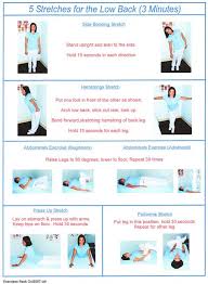 Pin On Lower Back Stretching Exercises