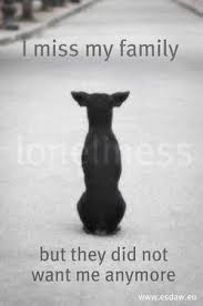 Stop Animal Cruelty Animal Lovers Stop Animal Cruelty Animal Lover Save Animals