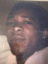 Thornhill's Family Branch