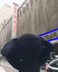 $10 off next $75+ online order on sign up for uniqlo text messages. Uniqlo On Twitter Contest Alert We Re All Traveling For The Holiday Season Snoopy Included We Want To See Where He S Off To Next Snap A Photo Of Your New Black Utxkawsxpeanuts