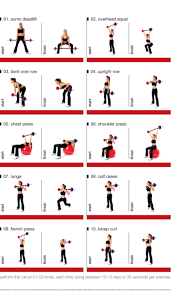 Barbell Circuit For Exercising At Home Home Strength