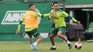 €5.00m* oct 10, 1991 in estação (rs).facts and data. Lucas Lima Palmeiras