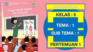 We did not find results for: Latihan Soal Kelas 5 Sd Tema 1 Organ Gerak Hewan Dan Manusia Subtema 1 Pertemuan 1 Dan Kunci Jawaban Youtube
