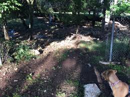 This is our guests' favourite part of san antonio the following parking options are available to guests staying at fairfield inn & suites by marriott san. Lorence Creek Park Needs A Dog Friendly Update Pawsitively Adventurous