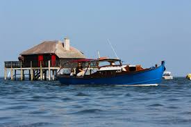 Balade En Pinasse Sur Le Bassin D Arcachon Jusqu A 12 Personnes Bassin D Arcachon Arcachon Cap Ferret