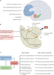 Image result for Post-Traumatic Stress Disorder
