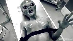 Alien hembra - XVIDEOS.COM