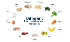 Synonyms for variety in free thesaurus. Providing Variety Of Foods