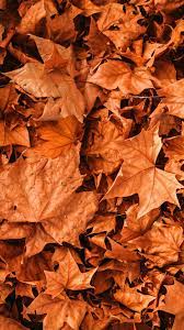 Pin By Nabila Yuliardani On Iphone Wallpapers Hatterkepek Free Fall Wallpaper Iphone Wallpaper Fall Cute Fall Wallpaper