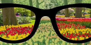 Color tech glasses is fda certified. Color Blind Glasses Do They Work Color Blind Glasses Color Blind Tinted Glasses