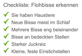 Unsere mitarbeiter haben es uns zur edel obersten aufgabe gemacht, ware verschiedenster variante ausführlichst zu checken, dass die versand verbraucher ohne verzögerung das flohbisse bett gönnen können. Flohbisse Beim Menschen Die Unterschatzte Gefahr