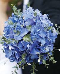 Wedding Flowers Bouquets Hydrangeas Wedding Hydrangea Bouquet Wedding Blue Wedding Bouquet