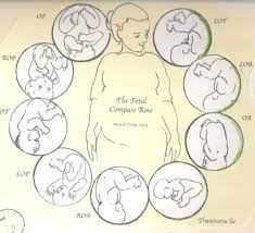 In der reinen beckenendlage sitzt das baby und streckt die beine nach oben. Kindslage Mai 2015 Babyclub Seite 30 Babycenter