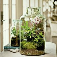 Terrarium Bocal Avec Plantes Jpg 760 760 Miniatuurtuin Terrarium Planten Glazen Tuin