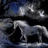 6,855 amazing nature wallpapers in hd. Https Encrypted Tbn0 Gstatic Com Images Q Tbn And9gcrigsdnvd8yvpd3oixfl0yatjuwabyurrghdl0 Gcxlvj3wnfn Usqp Cau
