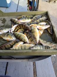 How far out are guys going