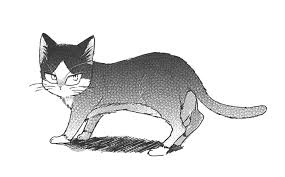 Haru Mikazuki My Roommate Is A Cat Wiki Fandom Subaru mikazuki is a writer who lost both parents in an accident.