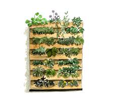 Transformer Une Palette En Jardin Vertical Kaizen Buy the best and latest bac fleur on banggood.com offer the quality bac fleur on sale with worldwide free shipping. une palette en jardin vertical
