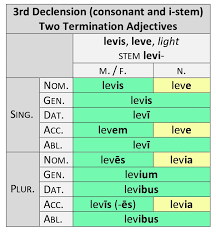 3rd Declension Adjectives Classification And Paradigms