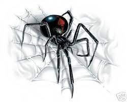 Coolest 3d spider tattoo design picture. Black Widow Tatoo Spider Tattoo Black Widow Spider Tattoo Black Widow Spider